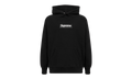 Box Logo Hoodie "FW21" SU11221