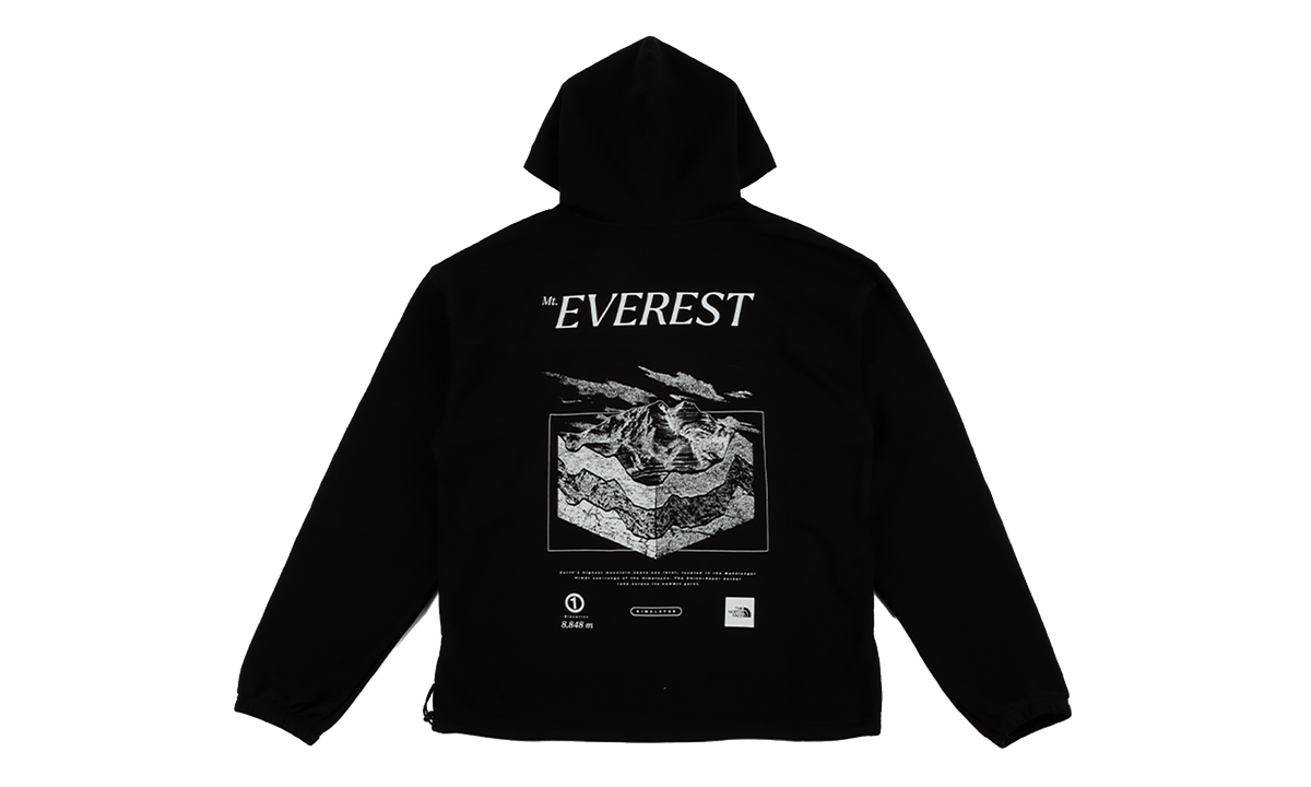 Places We Love Hoodie "Everest TNF Black" NF0A8J45 JK3