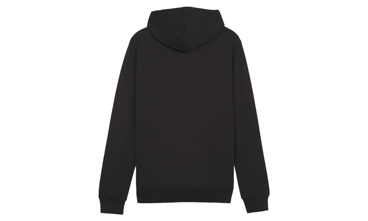 TeamGOAL Casual Hoodie "PUMA Black / PUMA White" 658618 03