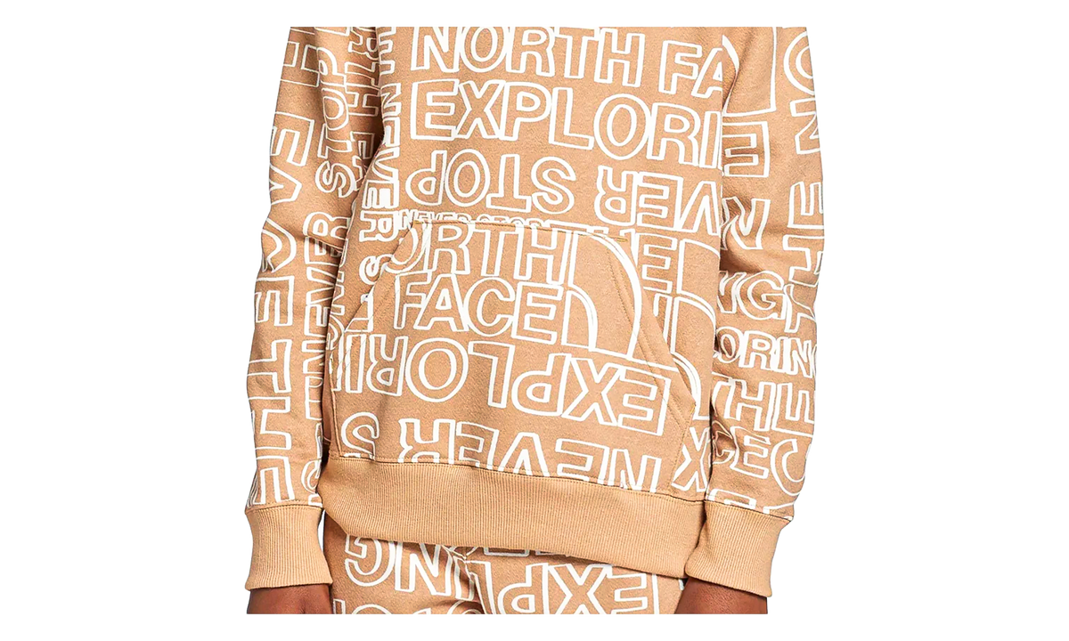 Camp Fleece Pullover Hoodie GS "Almond Butter" NF0A82SWRJI