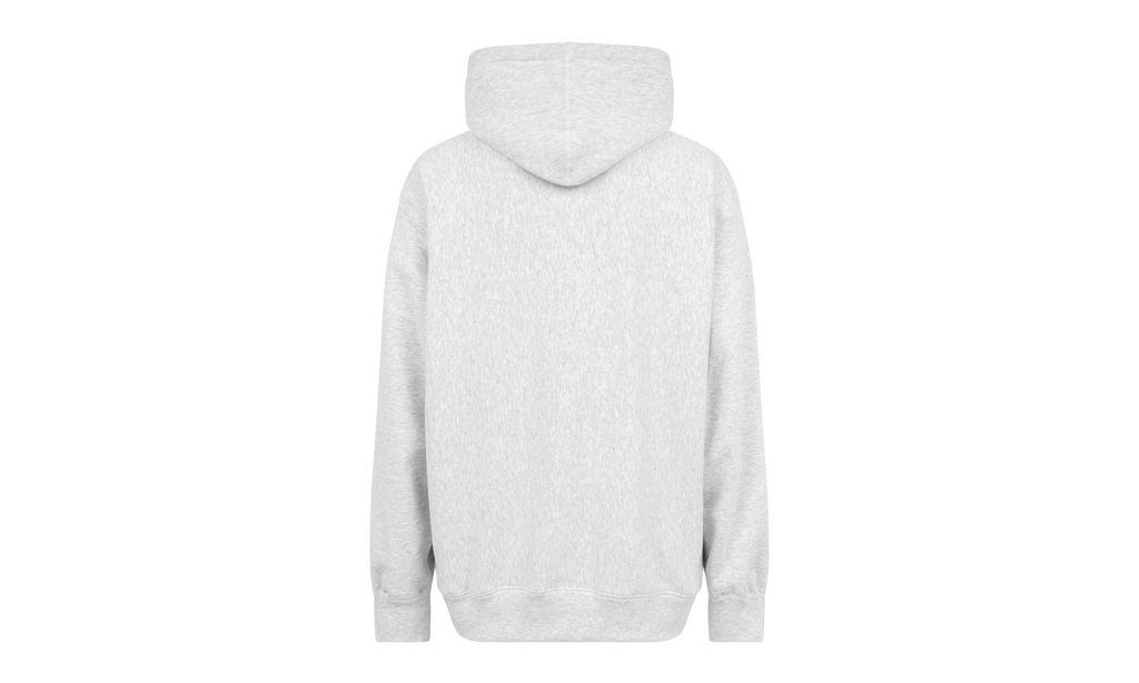FTP Arc Logo Hoodie "SS21" SU10671