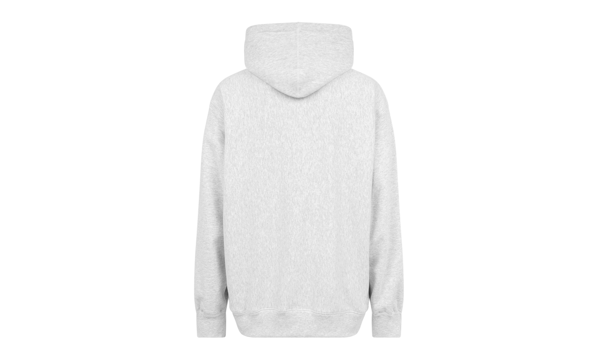 FTP Arc Logo Hoodie "SS21" SU10671