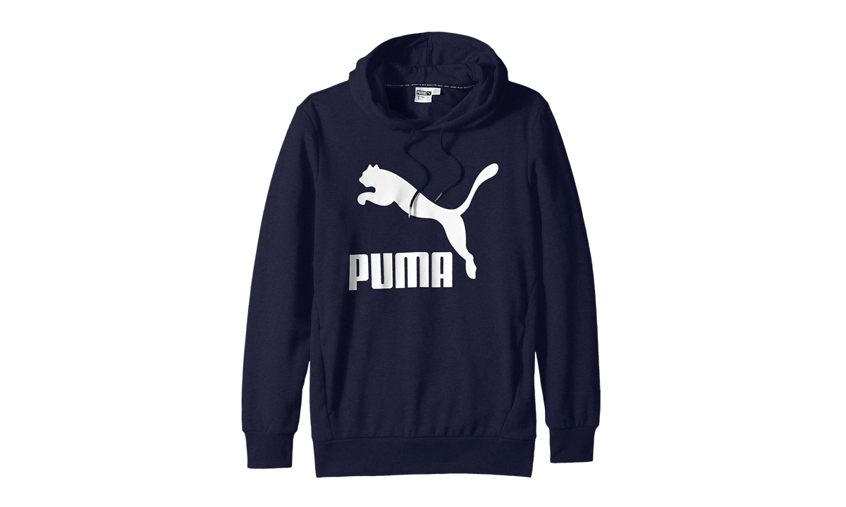 Classics Logo Hoodie "Blue" 578074 06