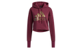 Holiday Graphic Hoodie WMNS "Victory Crimson" H56735