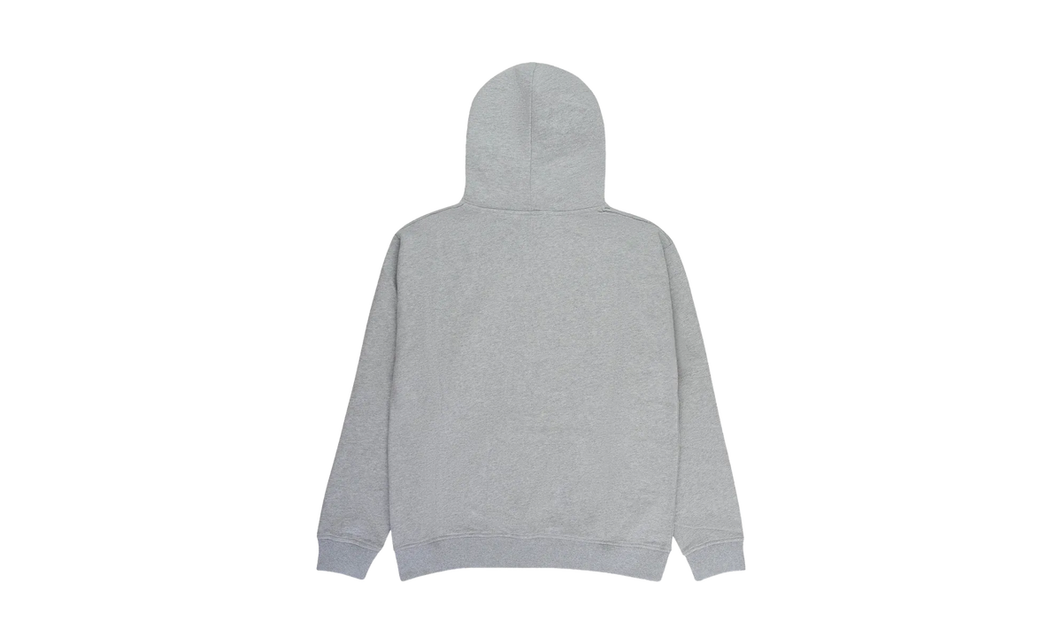 Mowa Hoodie "Grey" MOFW23HO01541267
